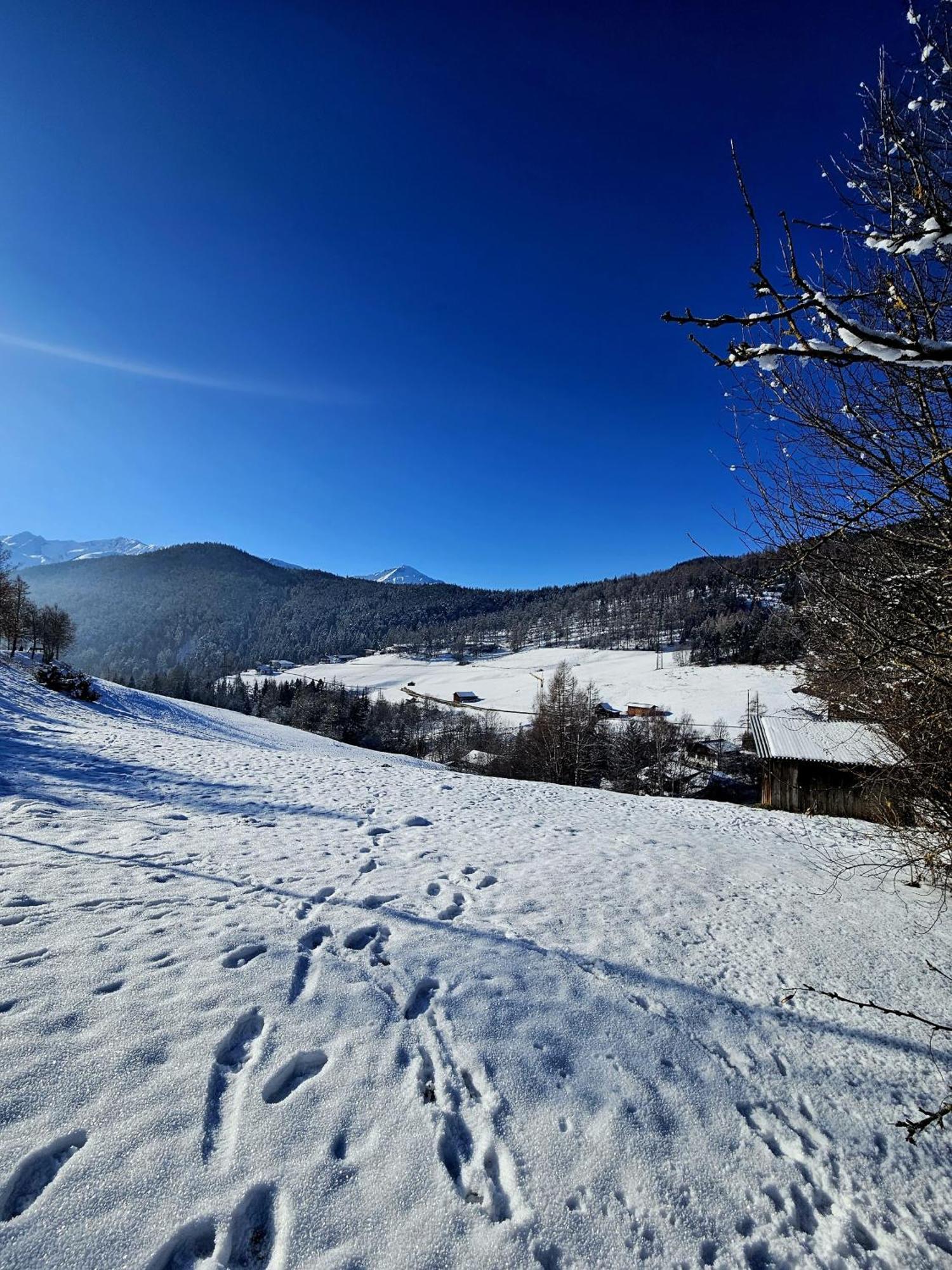 Ferienwohnung Haus Scholl Reith bei Seefeld Esterno foto